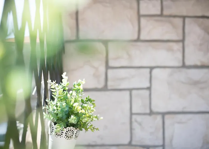 Red Karmenita Lejlighed *